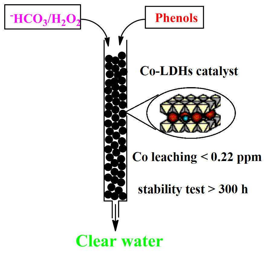 chlorophenols by supported co-mg-al layered double hydrotalcite